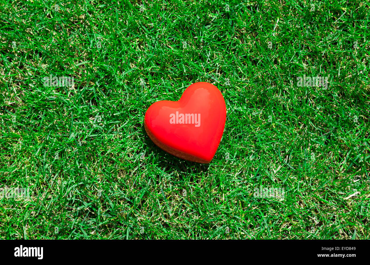 Red heart on green grass Stock Photo