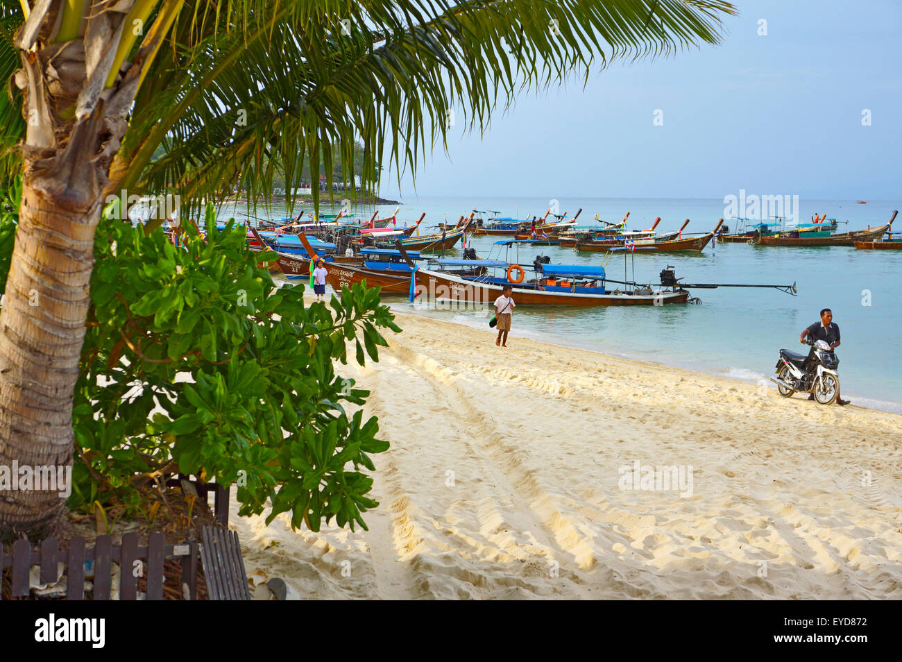 Tailândia,Koh phi phi,beach Stock Photo