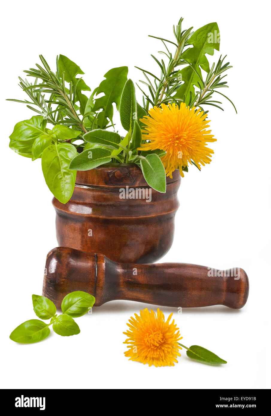 Rosemary, sage, basil and dandelion in a mortar Stock Photo