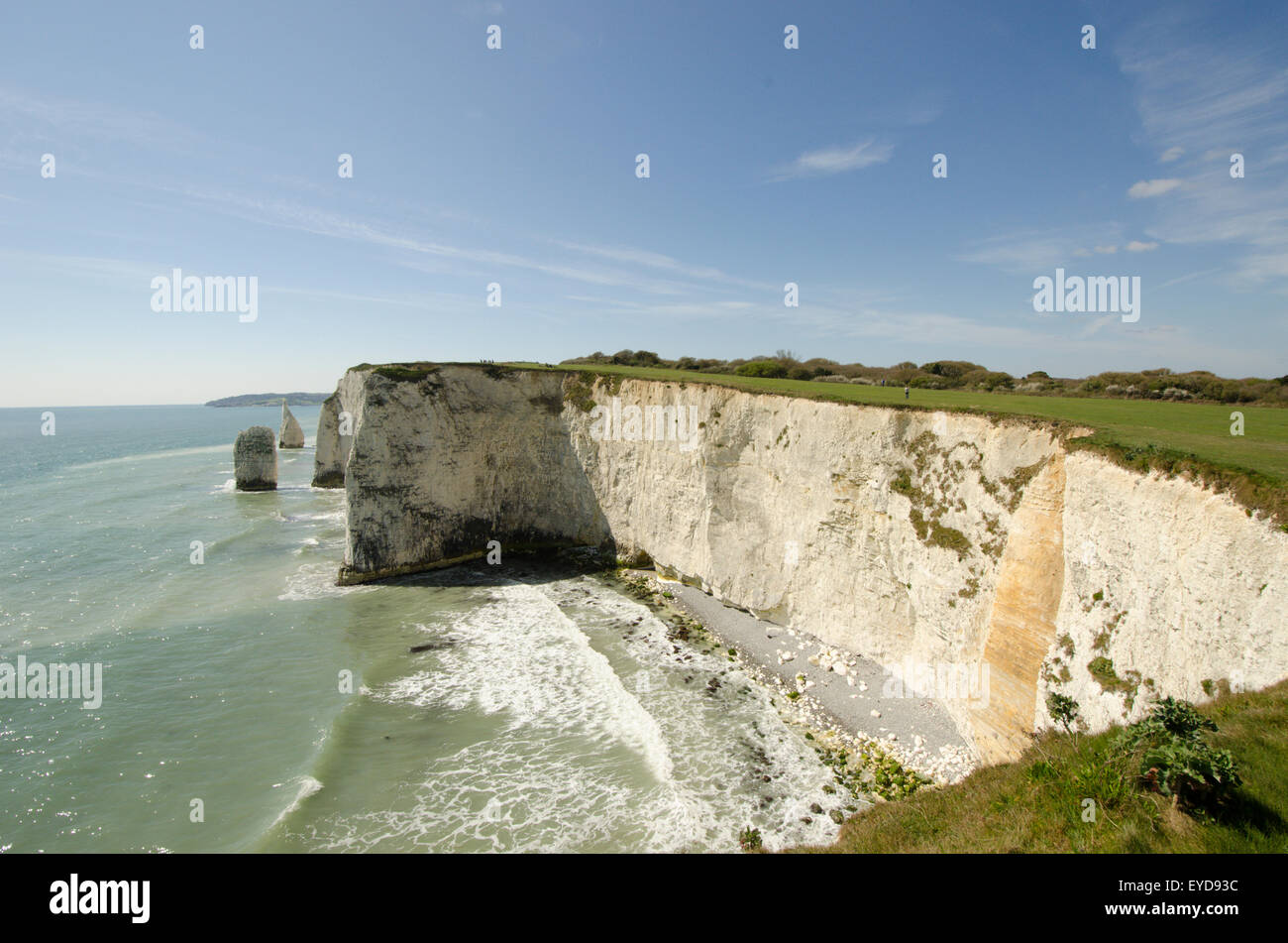 White chalk cliffs near Old Harry Rock, Studland, Dorset, UK. April. View to south-west. Stock Photo