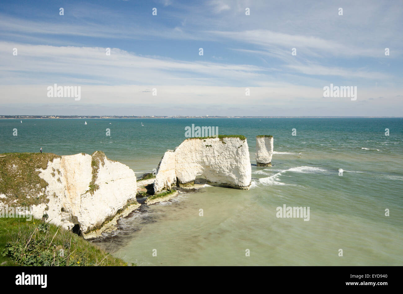 White chalk cliffs. Old Harry Rock, Studland, Dorset, UK. April. View to north-east. Stock Photo