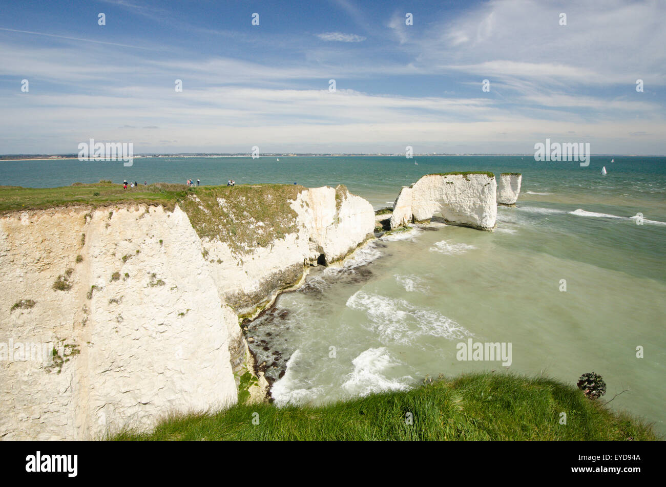 White chalk cliffs. Old Harry Rock, Studland, Dorset, UK. April. View to north-east. Stock Photo