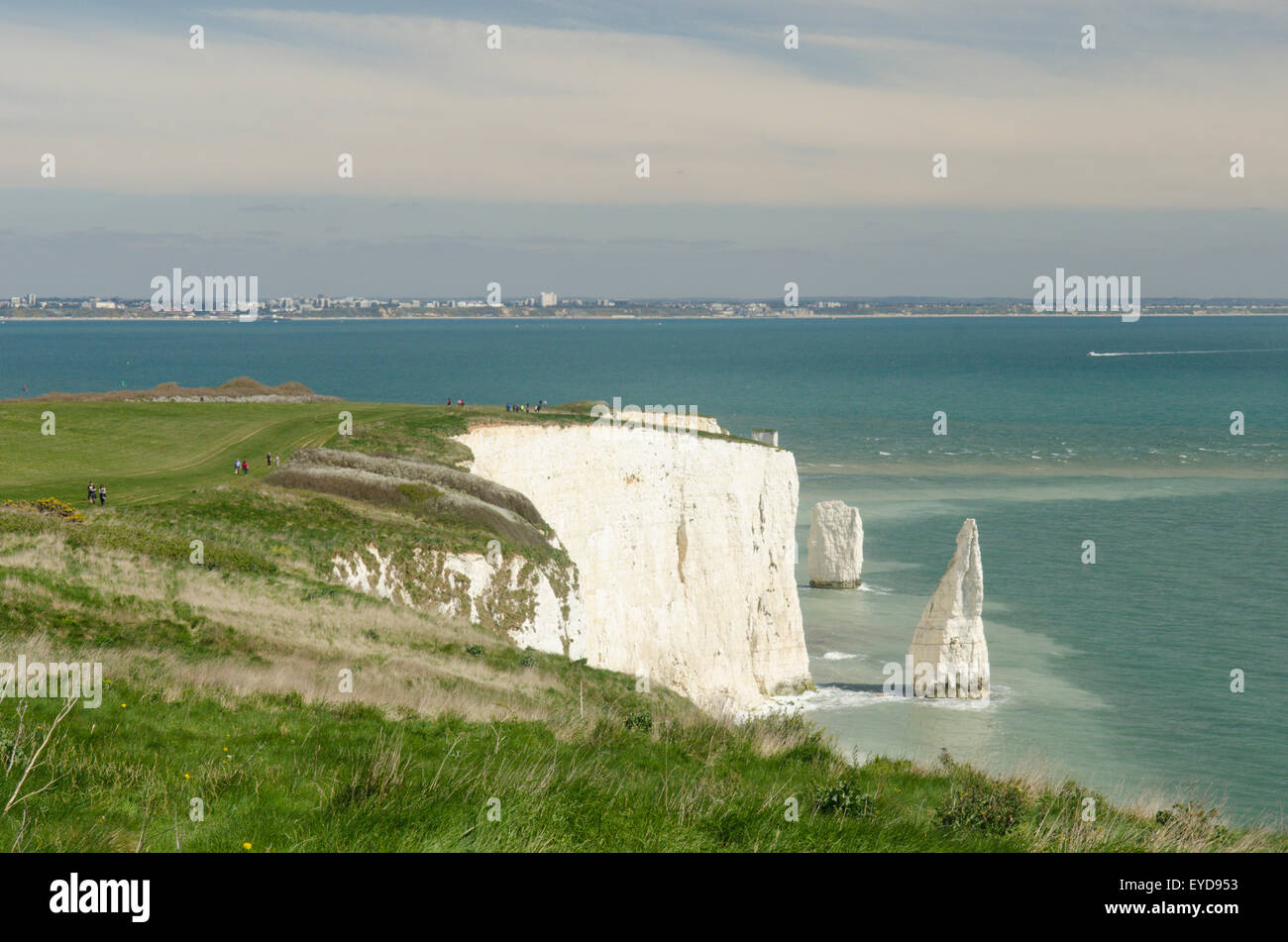 White chalk cliffs near Old Harry Rock, Studland, Dorset, UK. April