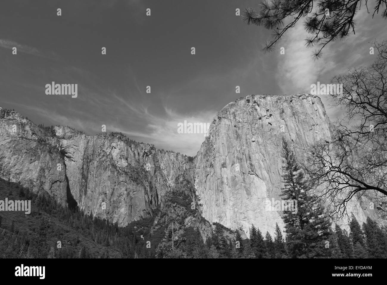 Black and white image in Yosemite national park Stock Photo Alamy