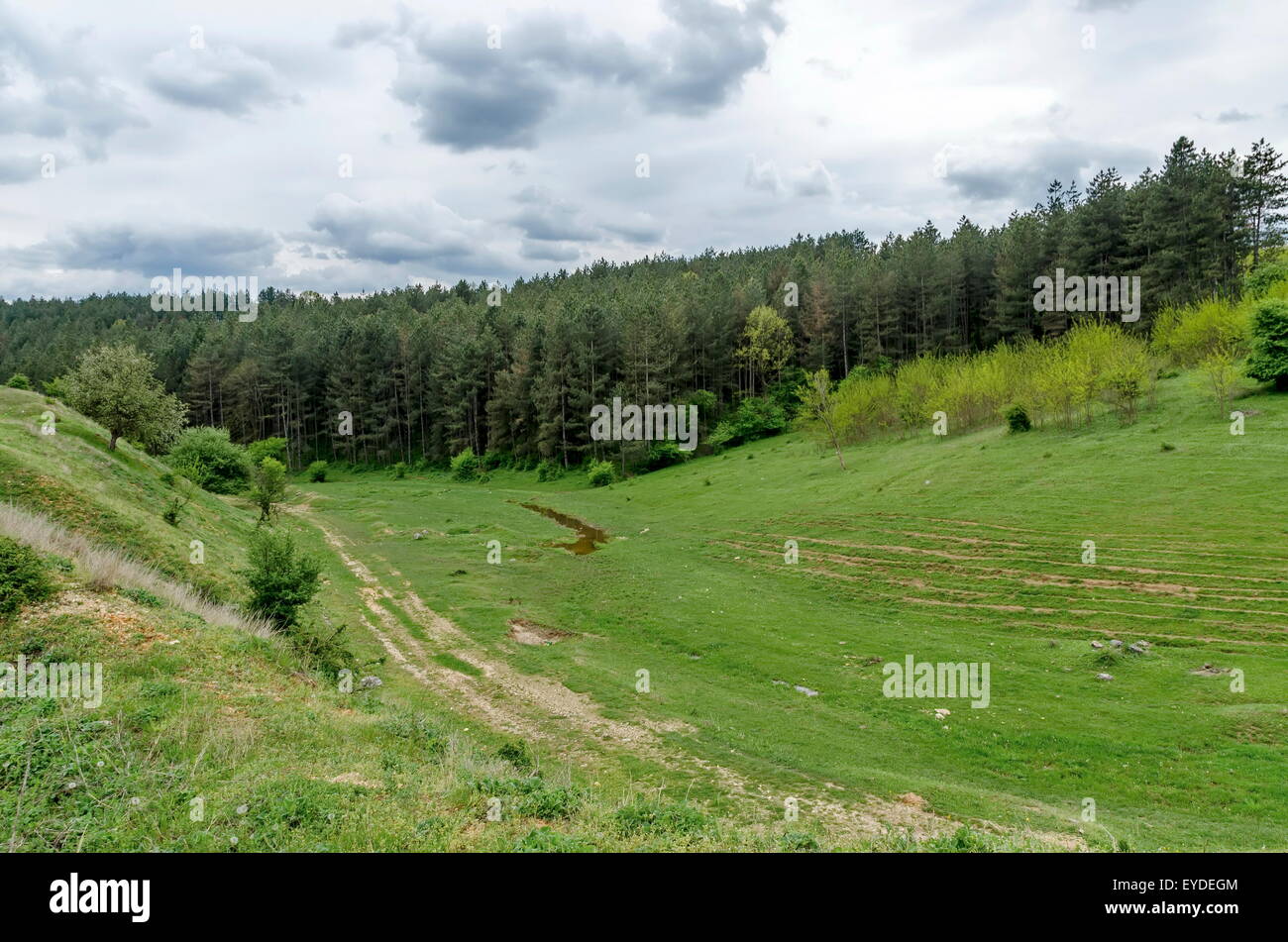 Background of sky, clouds, field  and river    Ludogorie, Bulgaria Stock Photo
