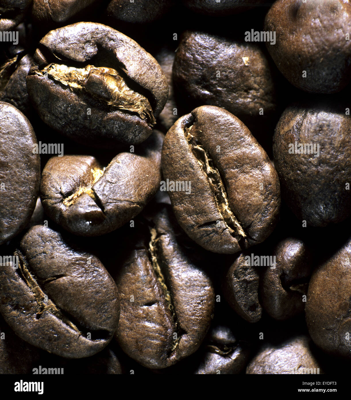 Kaffeebohnen Stock Photo