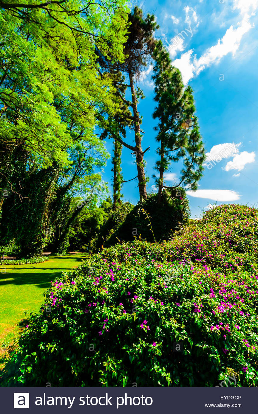 Sandhurst High Resolution Stock Photography and Images Alamy