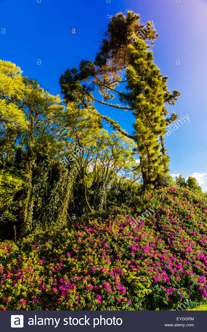 Sandhurst High Resolution Stock Photography and Images Alamy