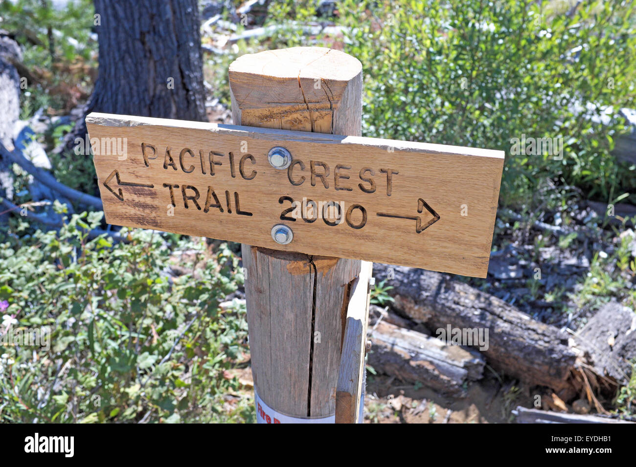A sign on the Pacific Crest Trail in the central Oregon Cascade ...