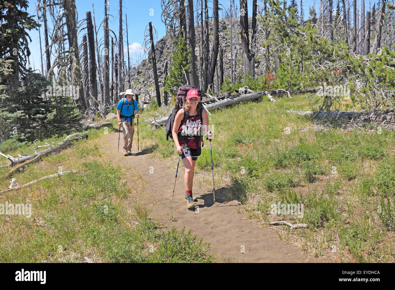 Backpackers on the Pacific Crest Trail near Santiam Pass, in the Oregon Cascades. Stock Photo