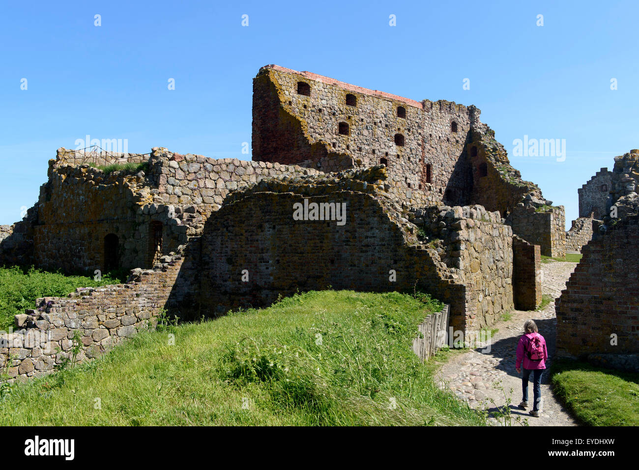 Casle ruin Hammershus (13.c.), Isle of Bornholm, Denmark Stock Photo