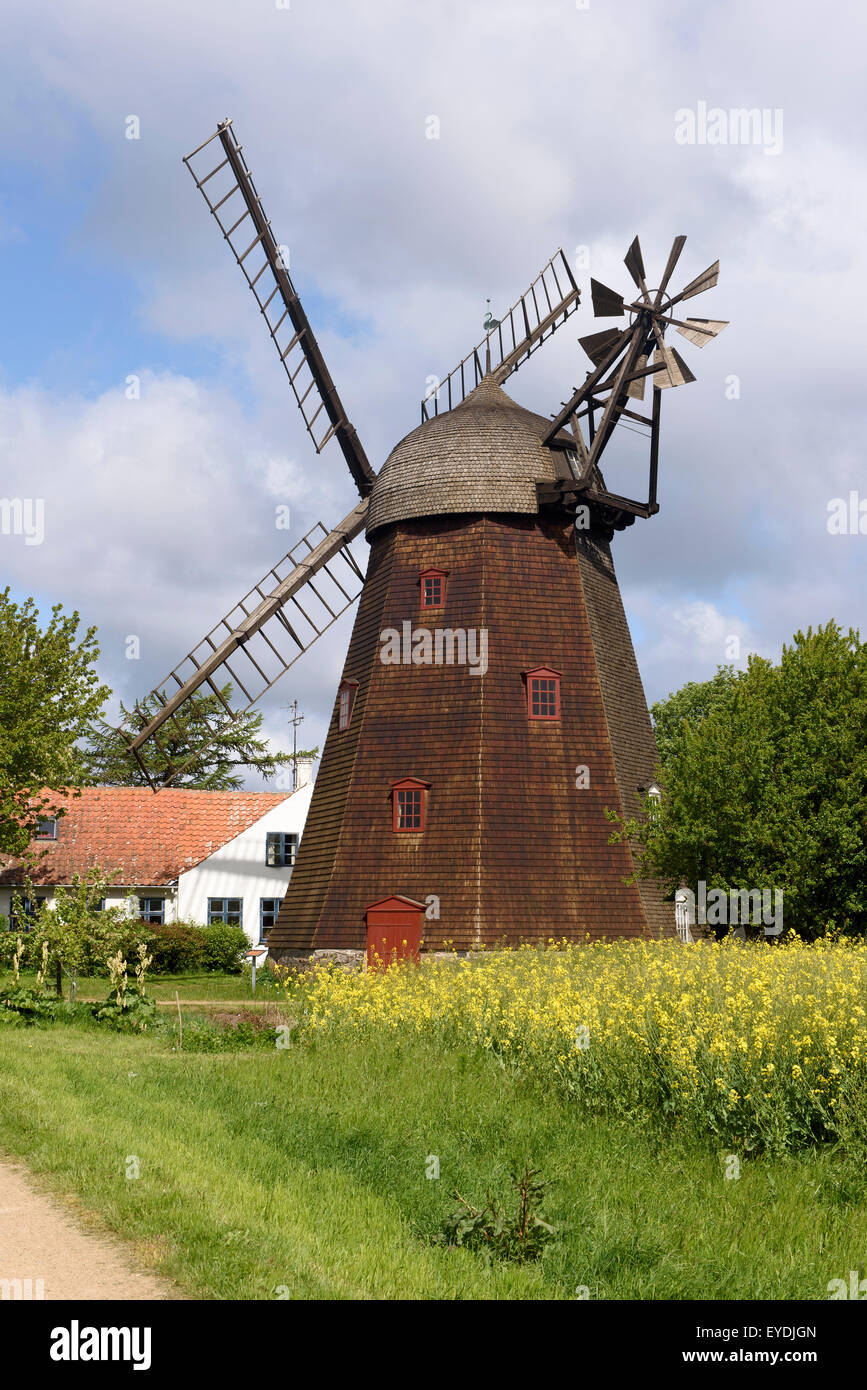windmill Swanemølle in Swaneke, Isle of Bornholm Denmark Stock Photo ...