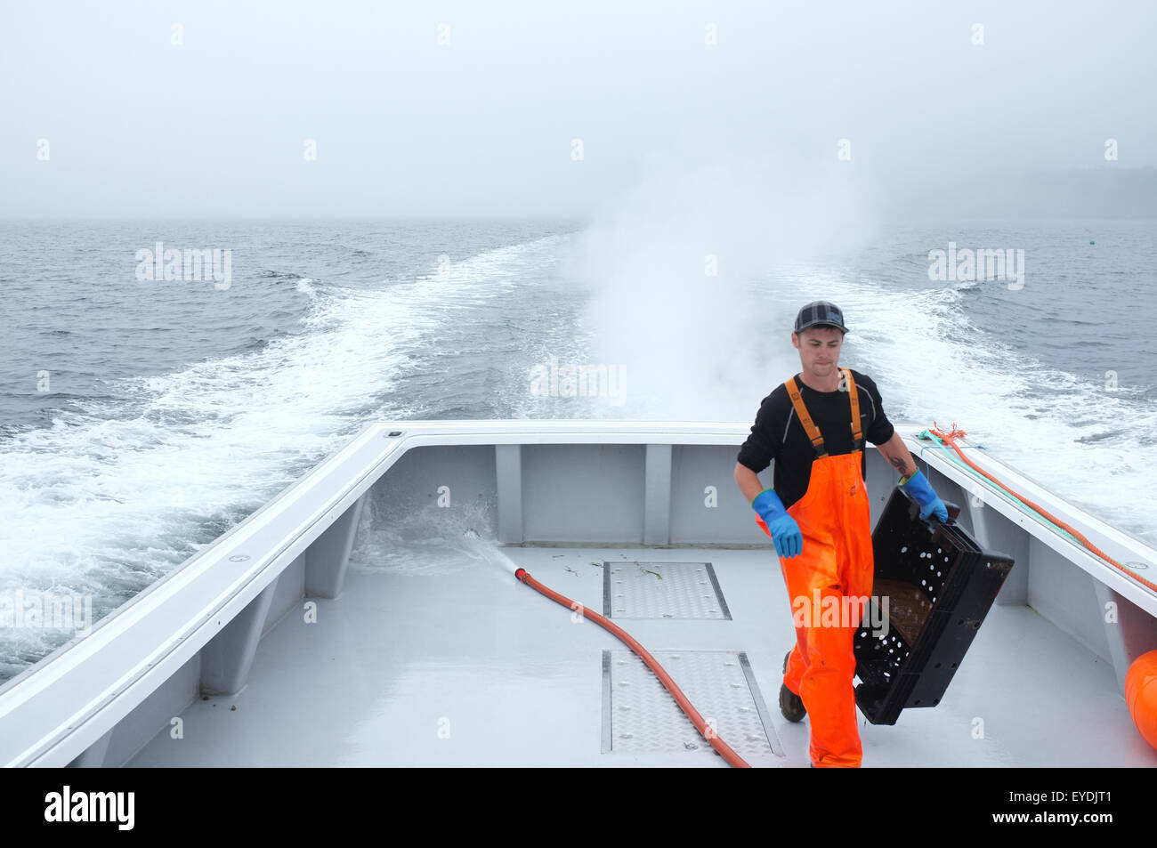 Lobster fishermen in Cape Breton, Nova Scotia Stock Photo Alamy