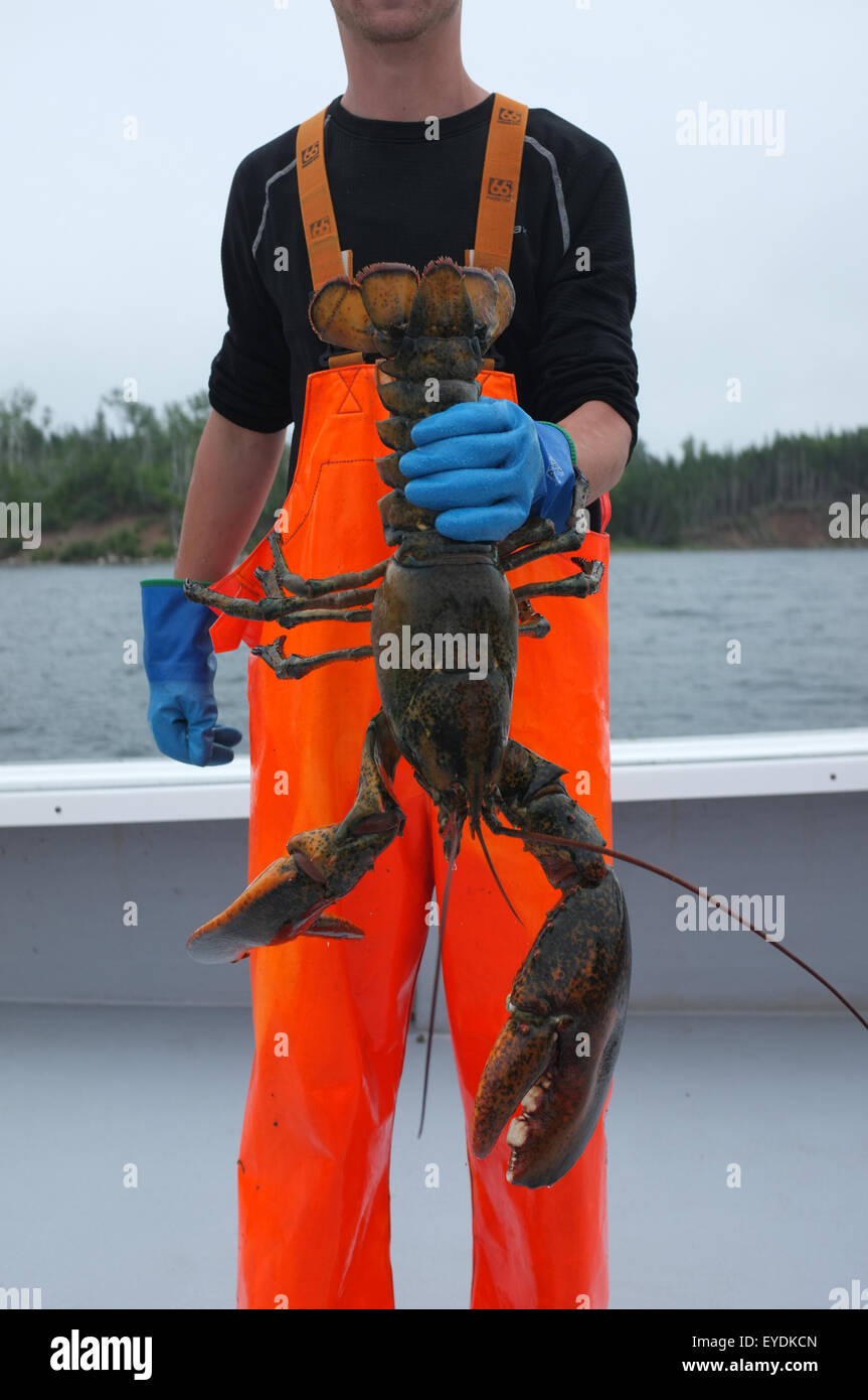 Lobster fishermen in Cape Breton, Nova Scotia Stock Photo Alamy