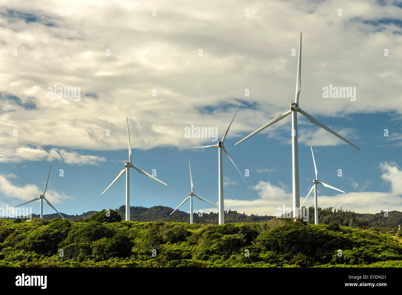 The Kahuku Wind Farm on Oahu, Hawaii Stock Photo Alamy