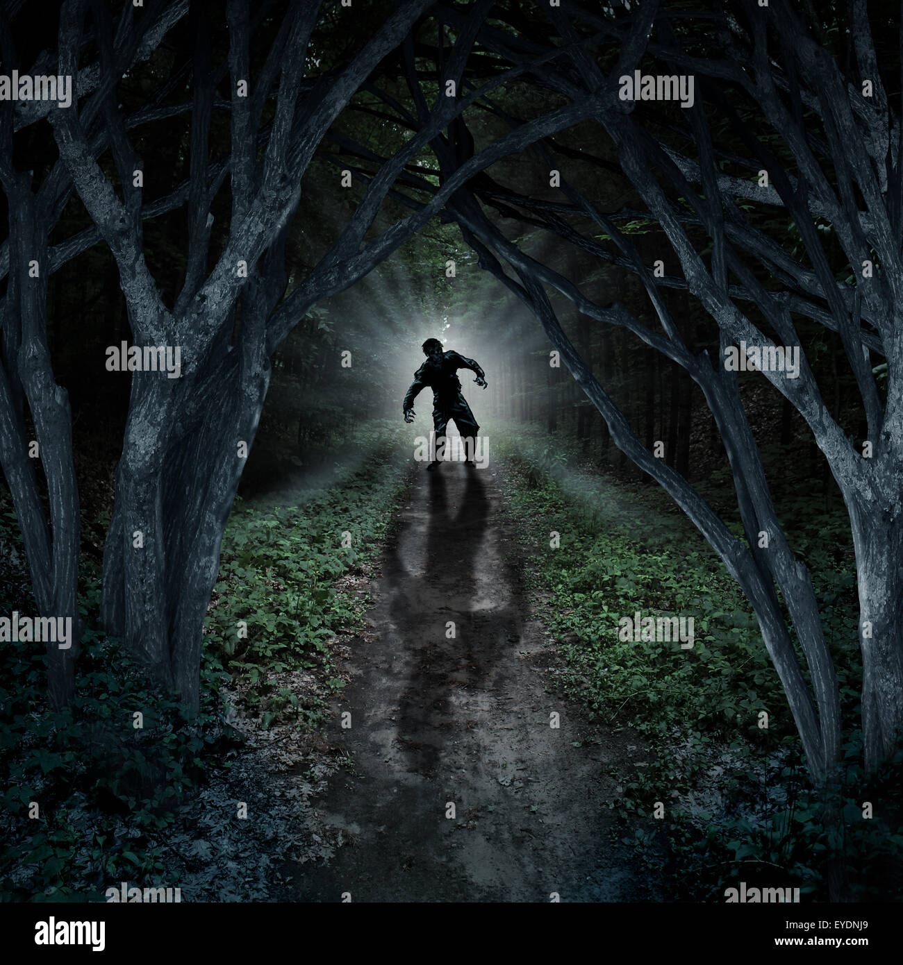 Horror monster walking in a dark forest as a scary fantasy concept with a creepy thing coming out of a remote wilderness background with a moon glow behind it as a halloween fear symbol of haunted woods and panic anxiety. Stock Photo