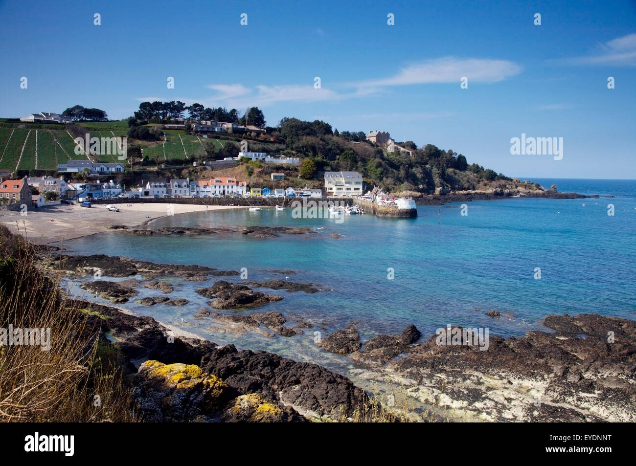 St Rozels Bay Harbour rozel bay hi-res stock photography and images - Alamy