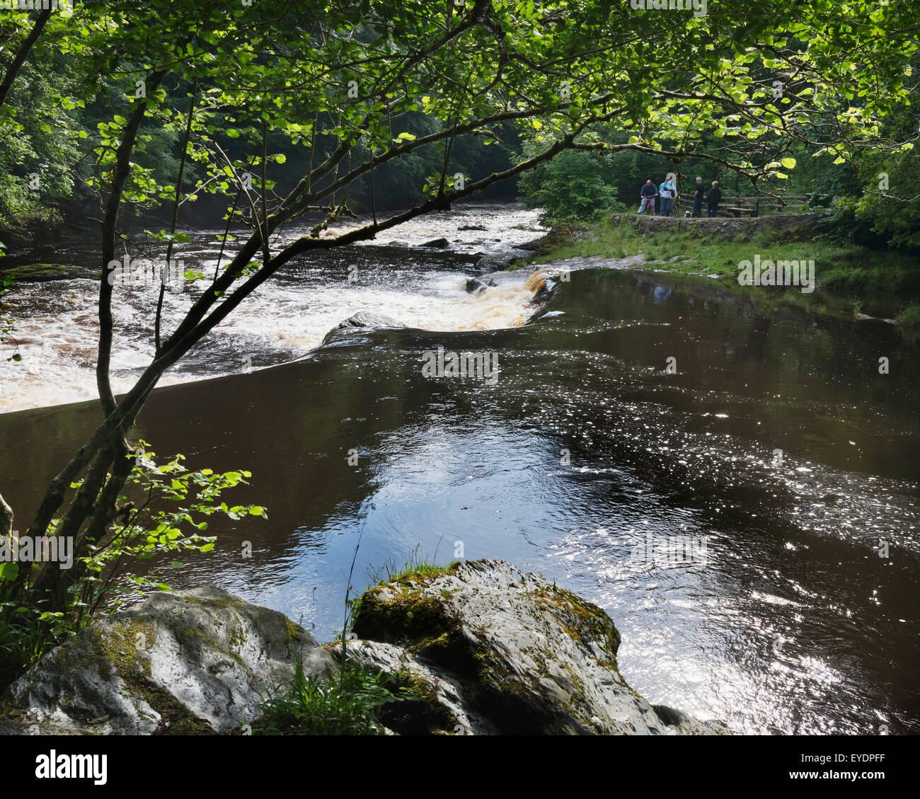 United Kingdom, River Roe or Red River running through Roe Valley