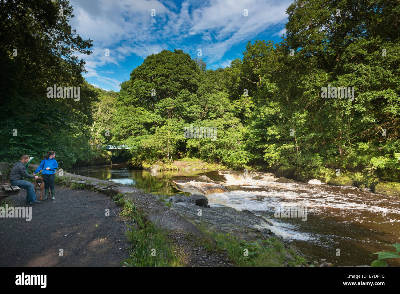 United Kingdom, River Roe or Red River running through Roe Valley