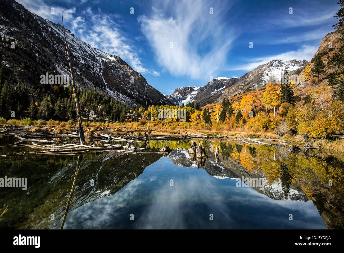 Reflection in the beaver pond in Lundy Lake canyon, eastern Sierra Nevada Mts, California Stock