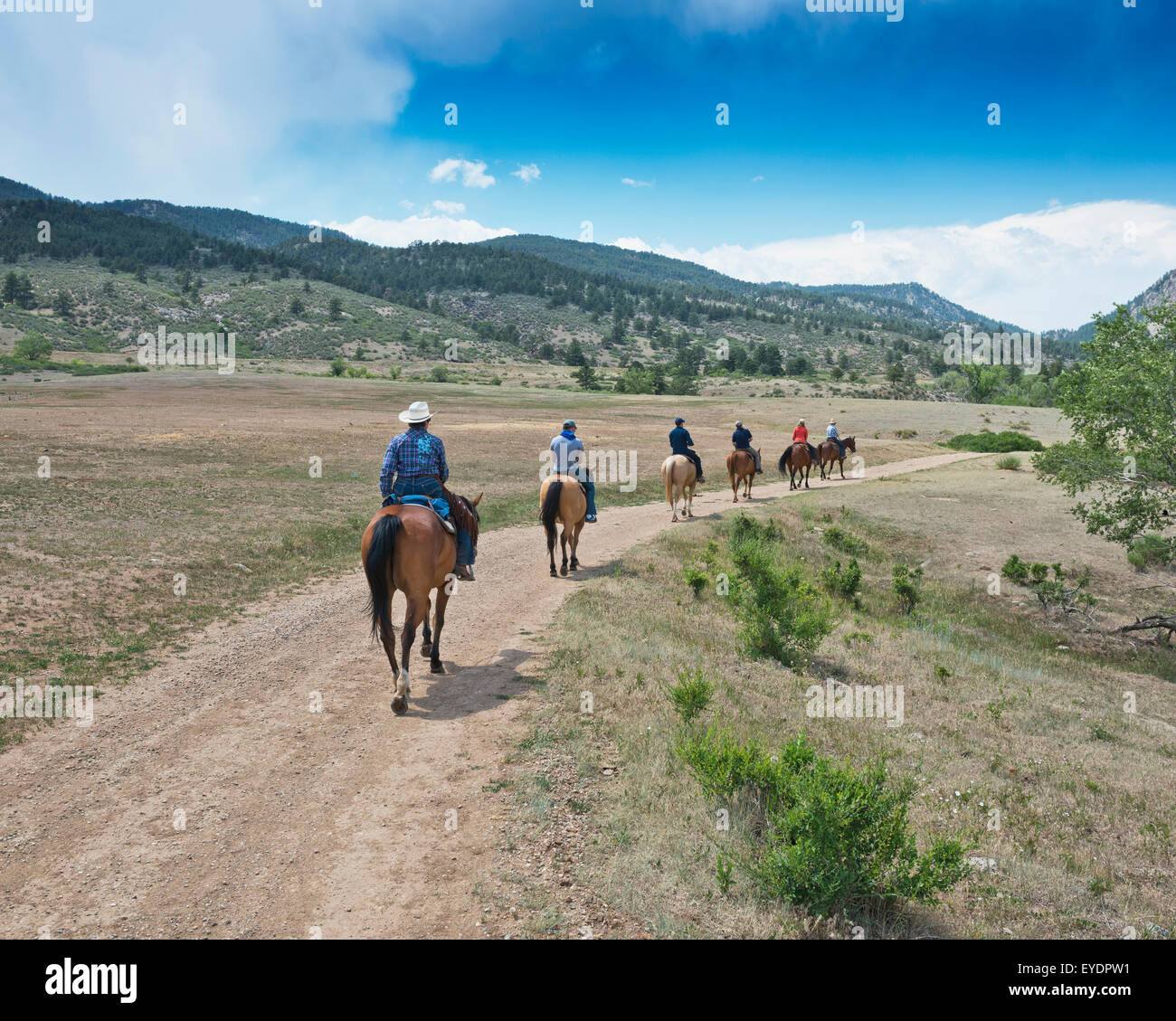 USA, Colorado, Big Thompson River Valley; Loveland, Horseback riding at ...