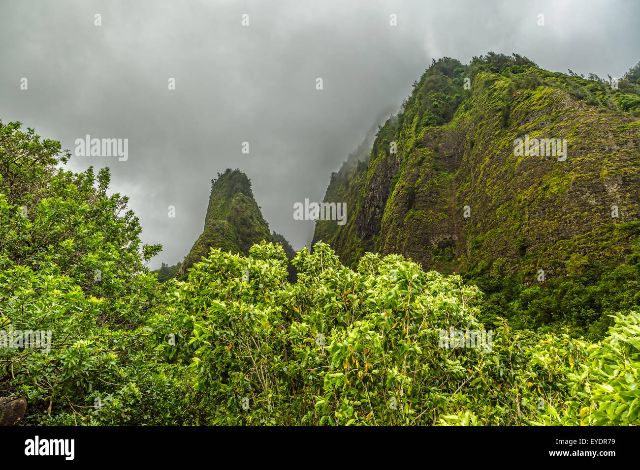 A view of the Iao Needle from within Iao Valley State Park on Maui, Hawaii Stock Photo
