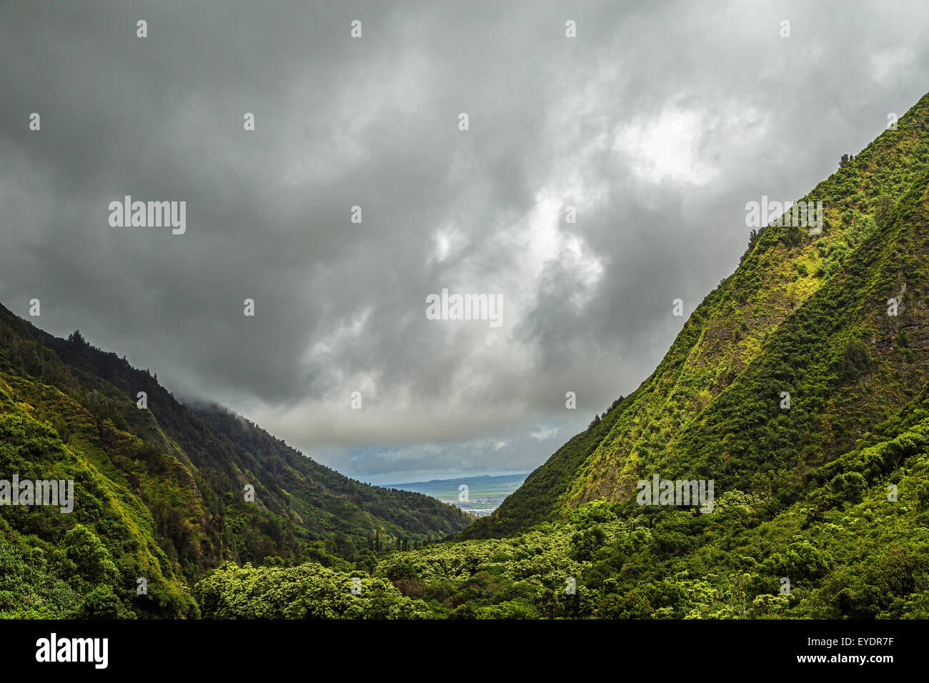 A view of central Maui valley through Mauna Kahalawai from within Iao Valley State Park on Maui, Hawaii Stock Photo