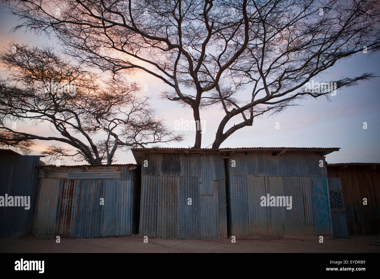 Tin shacks; Kenya Stock Photo