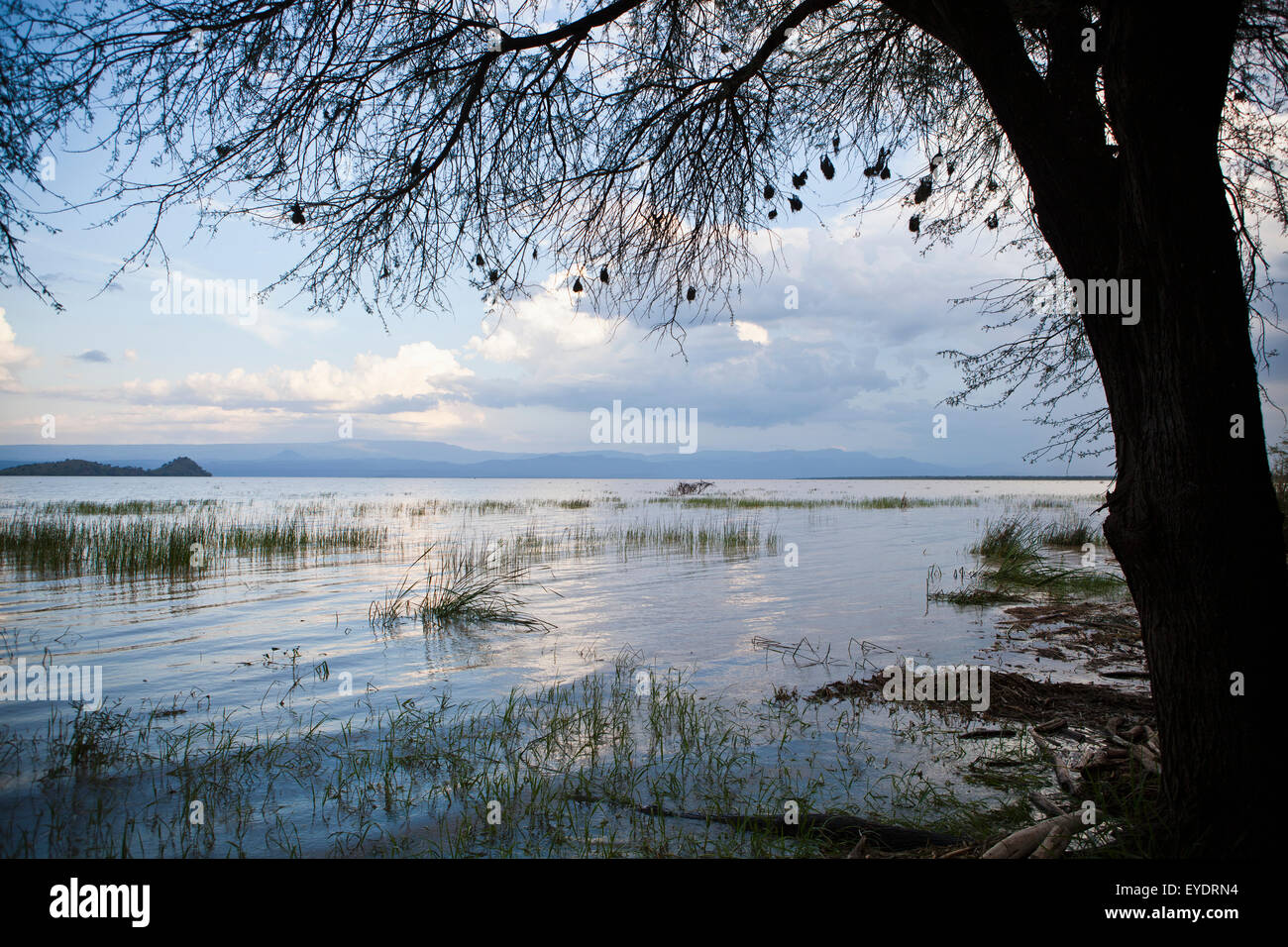 Kenya, View of Lake Baringo; Rift Valley Stock Photo