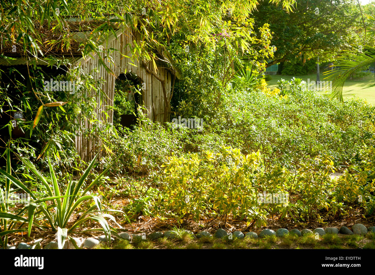 Bamboo Church In Mustique Island, St Vincent And The Grenadines, West