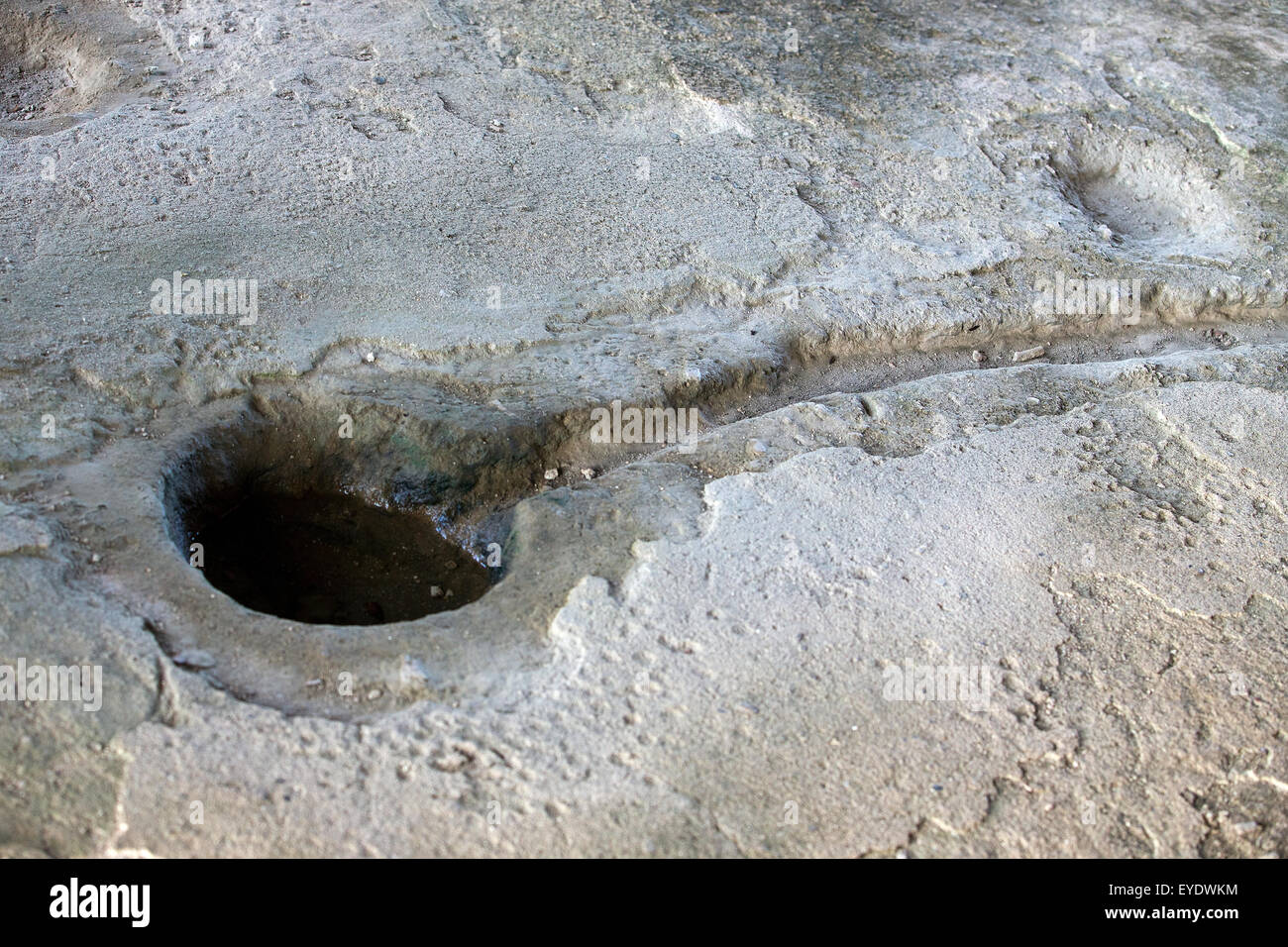 Bowl dug into concrete floor to collect rain water in the cell of Dr. Samuel Mudd, Fort Jefferson, Dry Tortugas National Park, Florida, United States of America Stock Photo