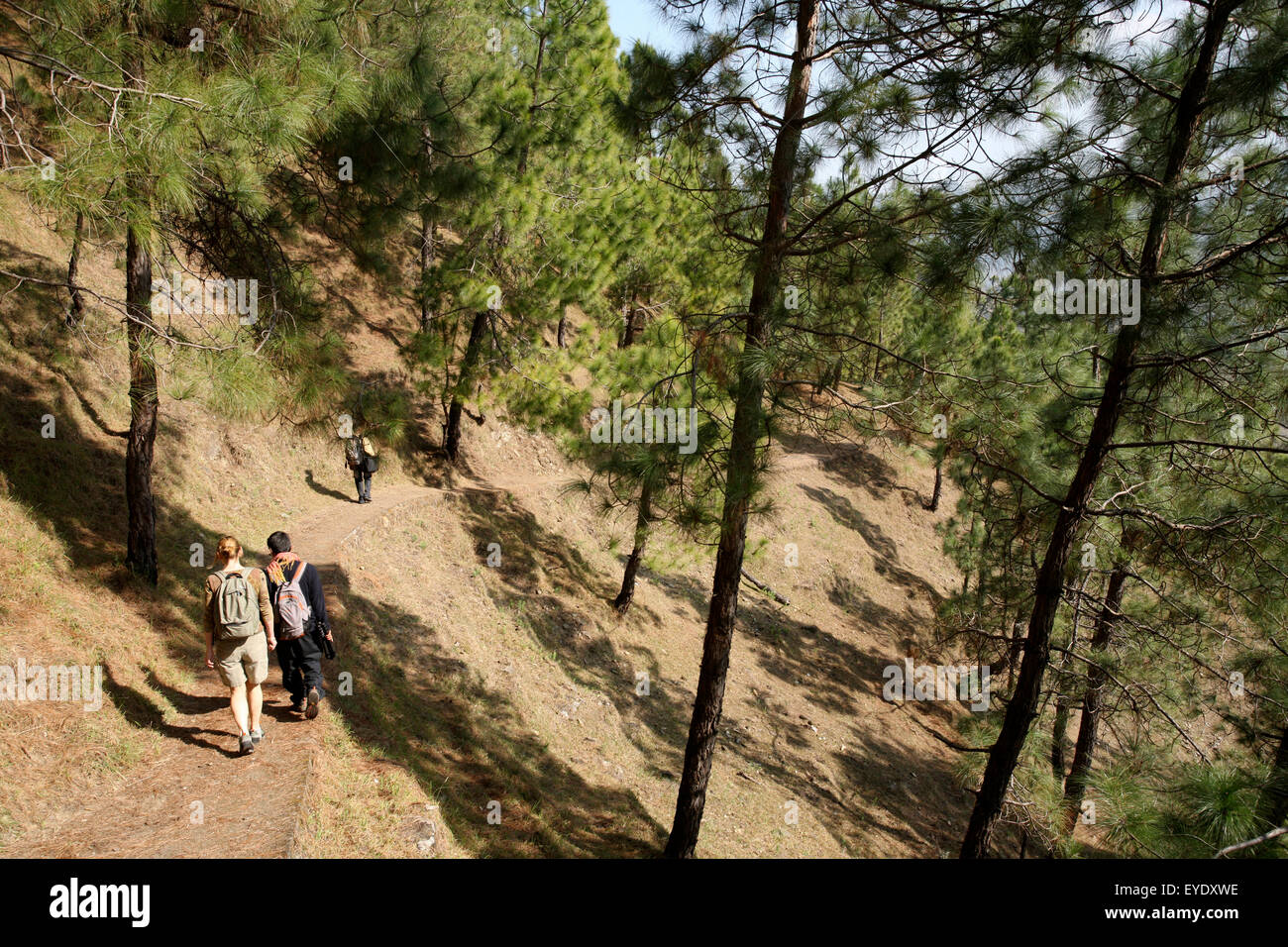 Tourist trekking in the Himalayas; India Stock Photo Alamy