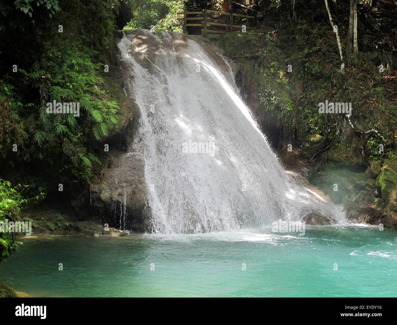 Waterfall at Blue Hole, White River, Ocho Rios, St. Ann, Jamaica Stock Photo