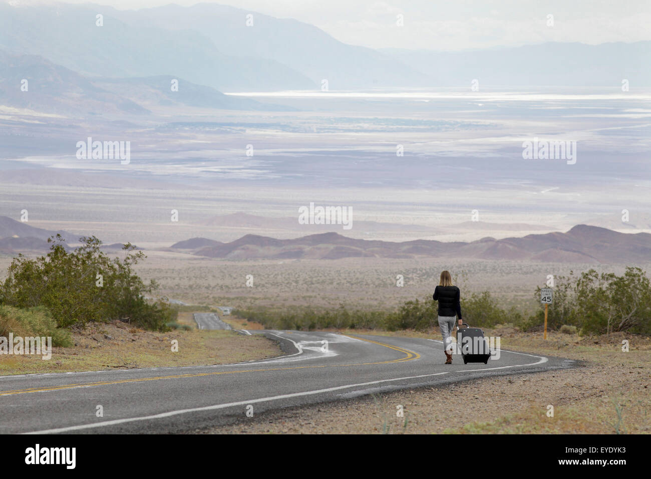 Timothy,Allen,Horizontal,Outdoors,Day,Rear View Stock Photo