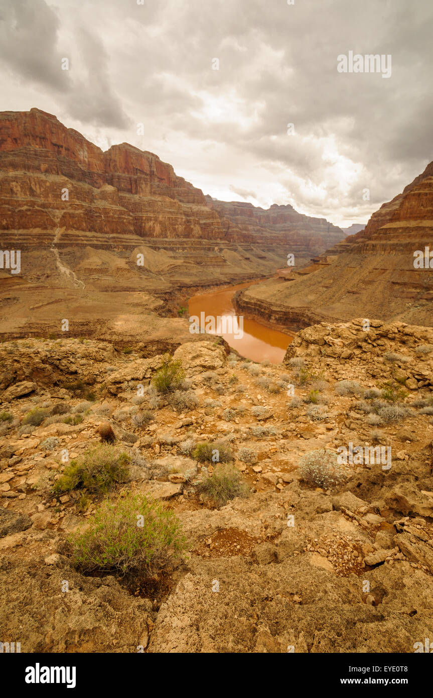 Colorado river Grand Canyon near las vegas Stock Photo - Alamy