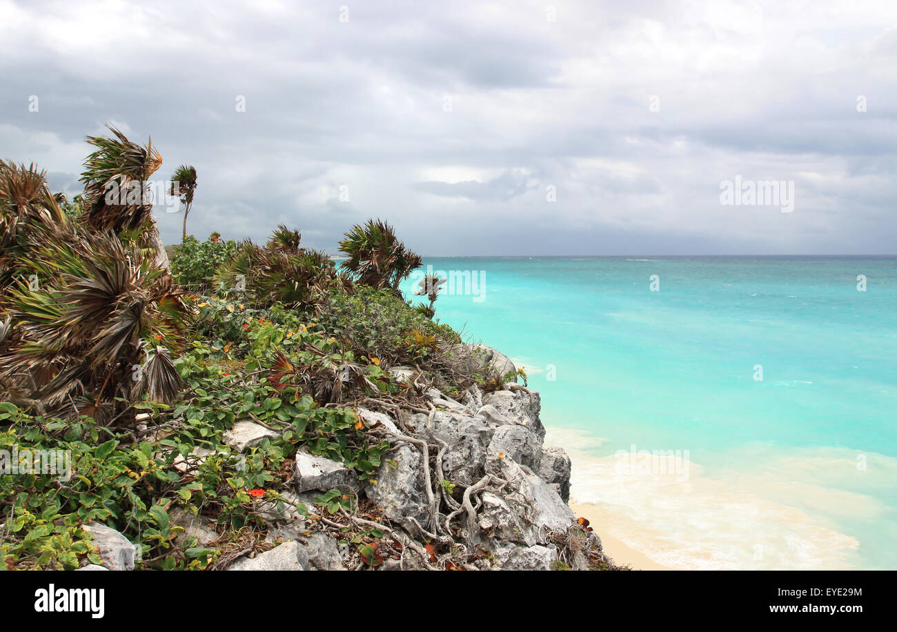 Tropical beach windy hi-res stock photography and images - Alamy