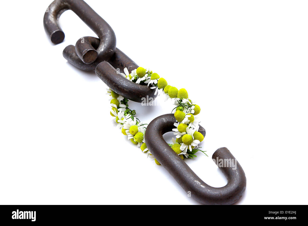 a chain is only as strong as its weakest link proverb one link made of ...