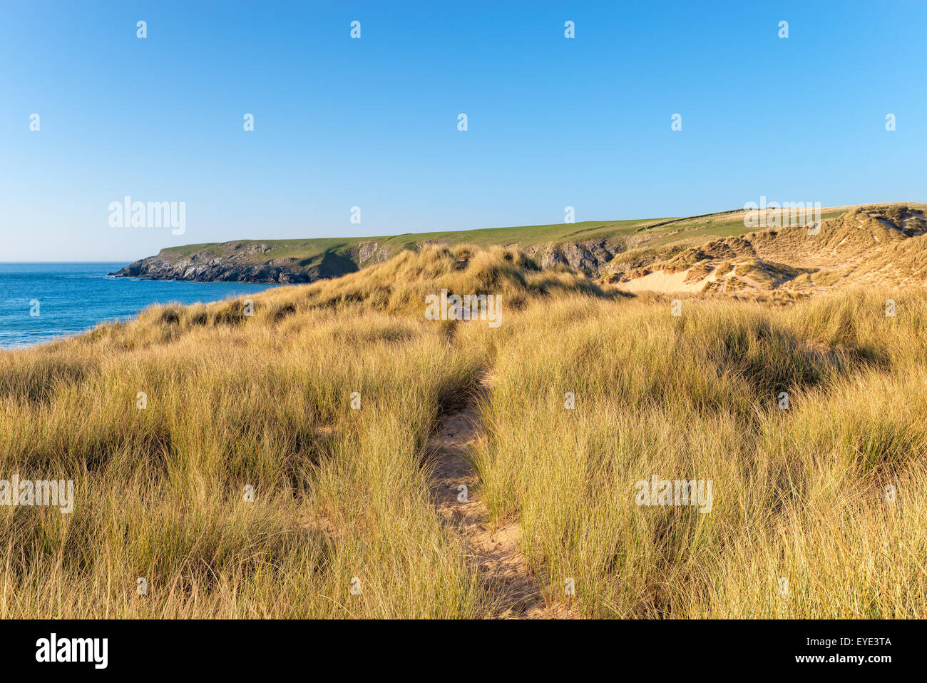 Path through sand dunes at Holywell Bay near Newquay in Cornwall Stock Photo