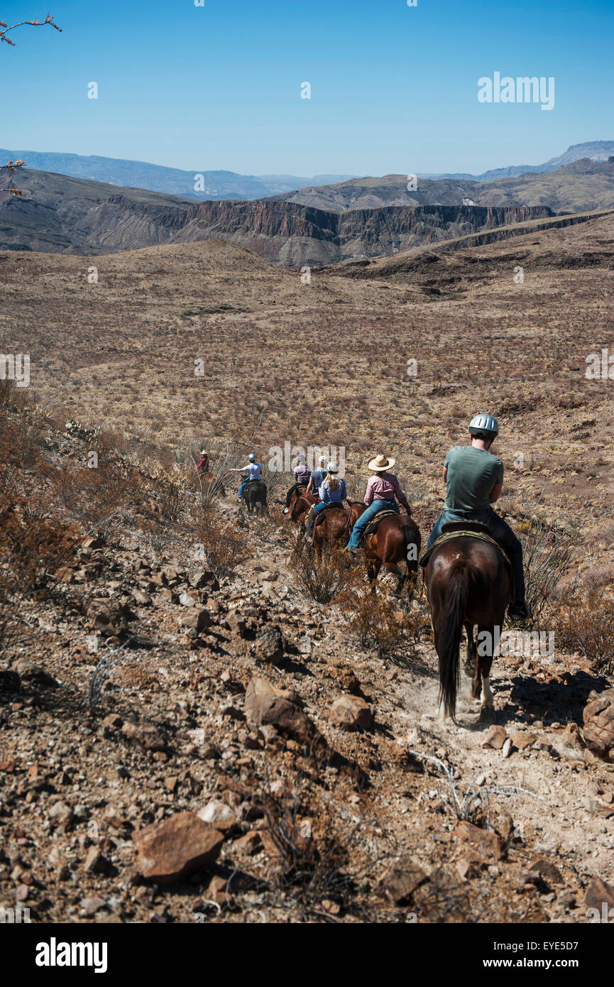 Horseback Riding In Big Bend Ranch State Park, Texas, Usa Stock Photo