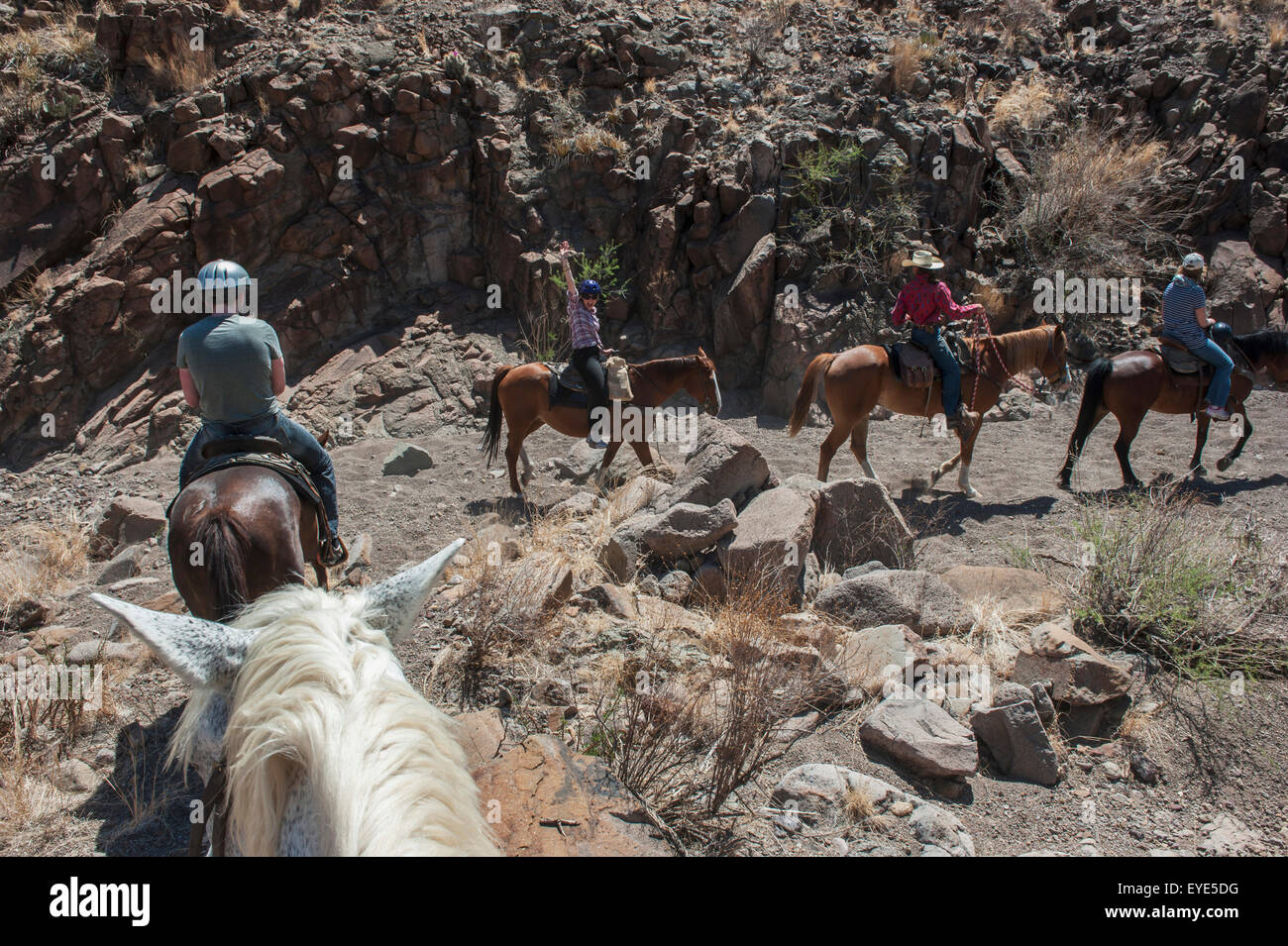 Horseback Riding In Big Bend Ranch State Park, Texas, Usa Stock Photo