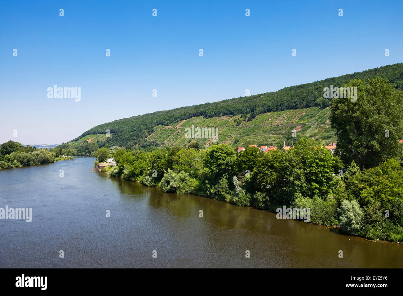 River Main and vineyards, Klingenberg am Main, Lower Franconia, Franconia, Bavaria, Germany Stock Photo