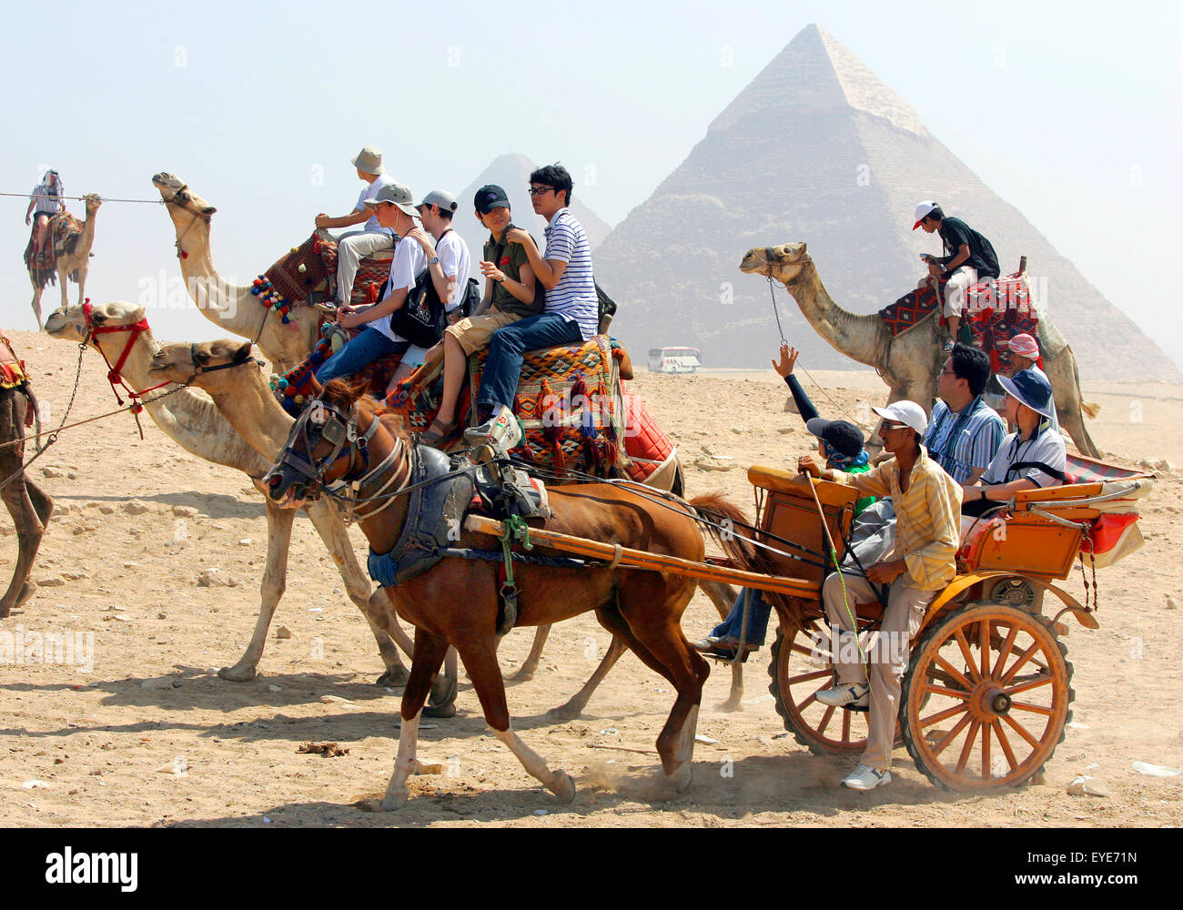Camel caravan Stock Photo