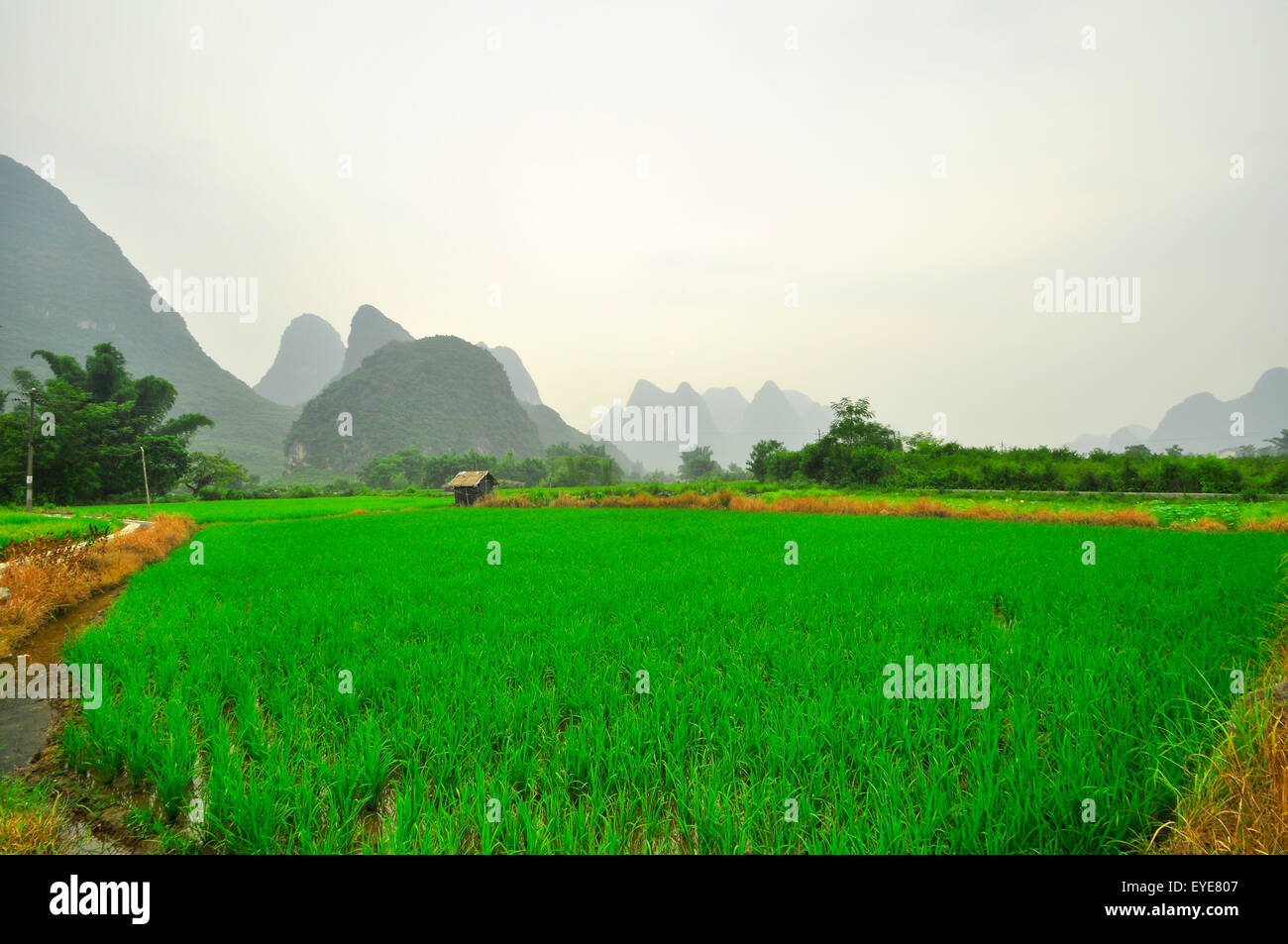 Beautiful li river side karst mountain landscape in yangshuo guilin hi ...