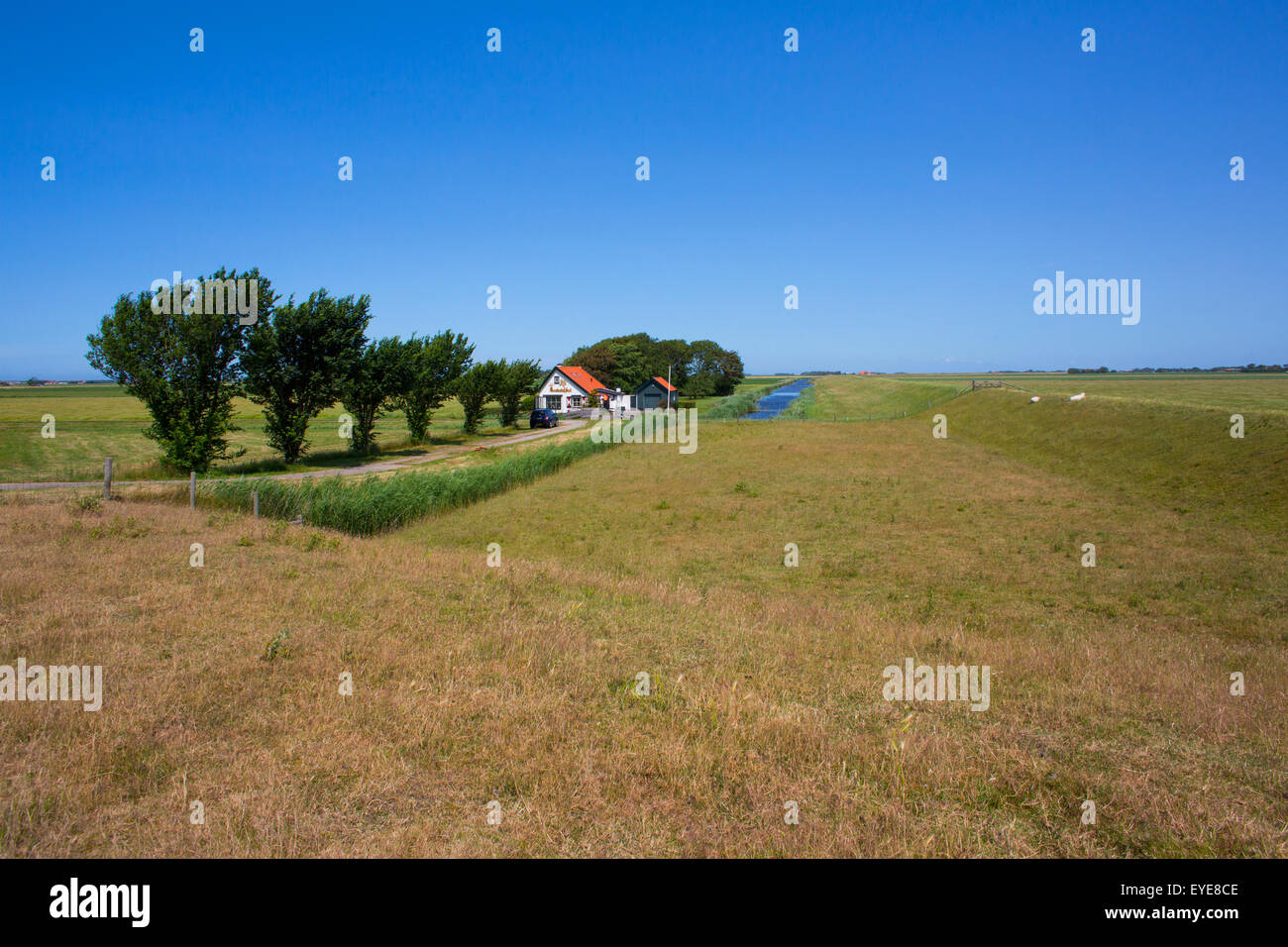 farmhouse on telex island, the netherlands Stock Photo