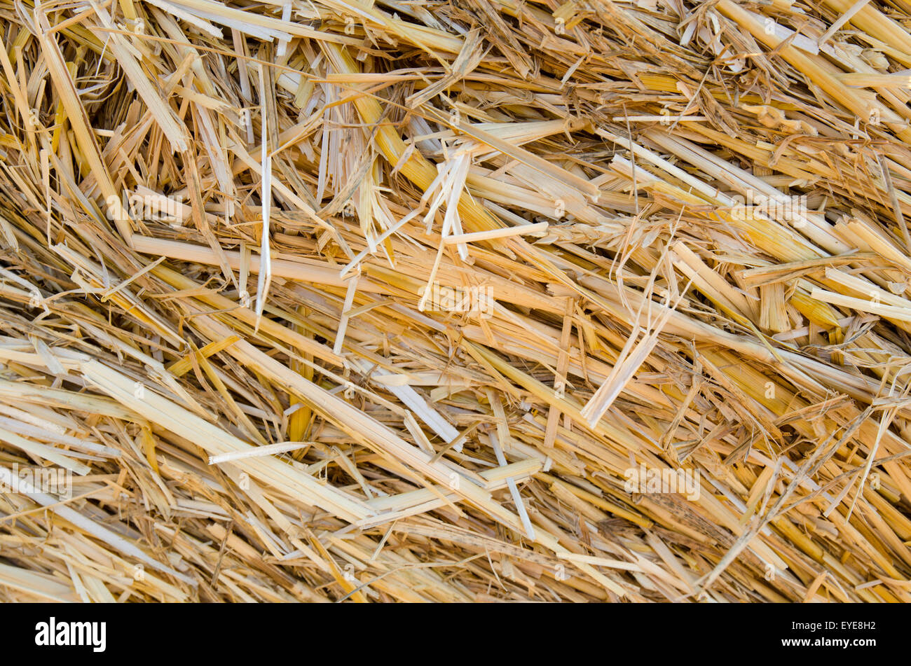 Close up of straw texture Stock Photo Alamy