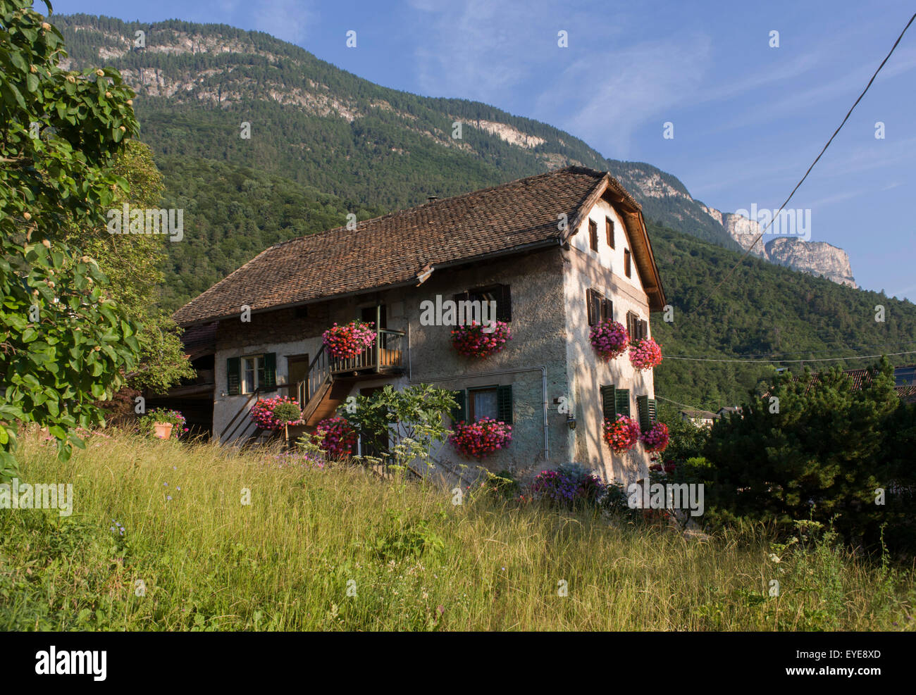 German architecture in Italian South Tyrolean agricultural region, south-west of Bolzano, northern Italy. Stock Photo