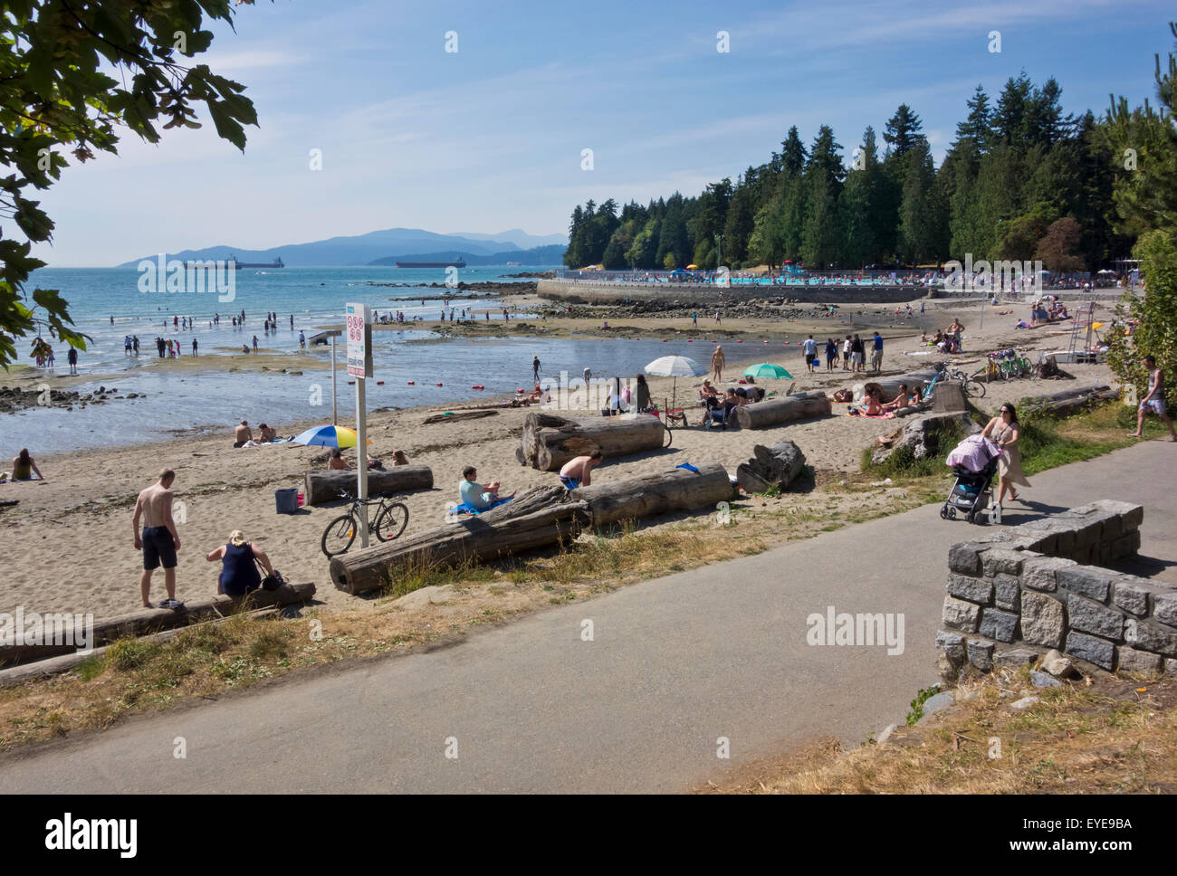 Seawall by Second Beach in Stanley Park, Vancouver.  People suntanning, swimming, and enjoying the water of English Bay. Stock Photo