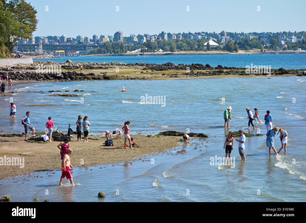 People enjoying the waters of English Bay at Second Beach in Stanley Park in Vancouver.  Swimming, sunbathing summer fun, cooling off. Stock Photo