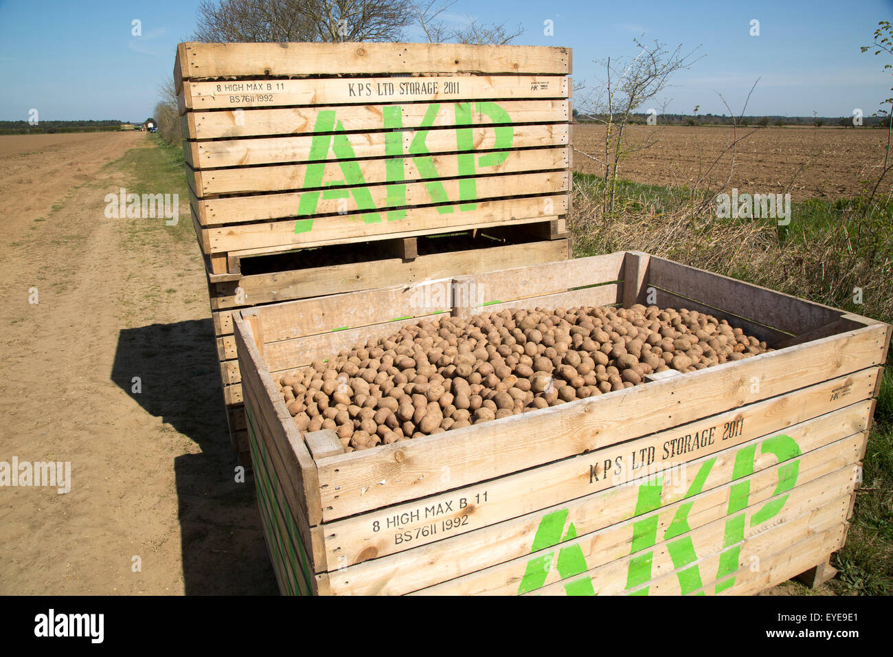 Potato boxes hires stock photography and images Alamy
