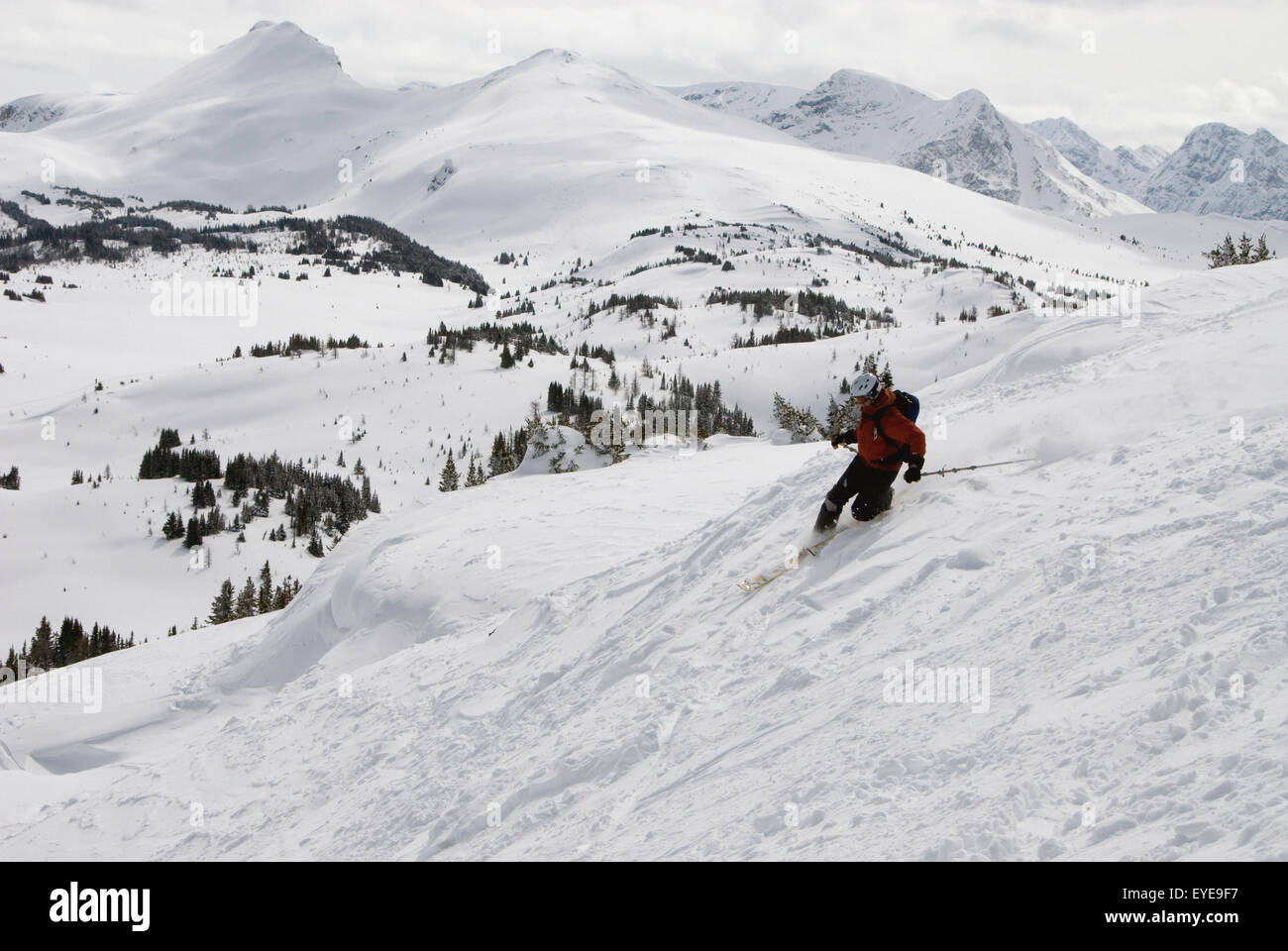 Telemark Skier At Sunshine Village Ski Resort In The Canadian Rockies
